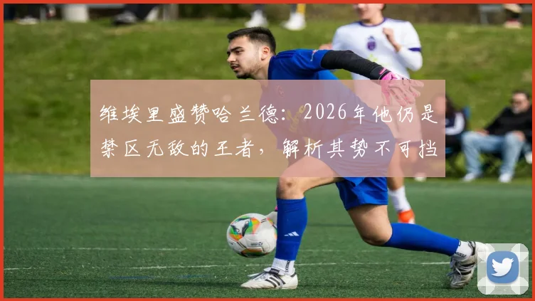 维埃里盛赞哈兰德：2026年他仍是禁区无敌的王者，解析其势不可挡的三大关键能力